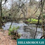 Hillsborough River and surrounding scenery