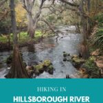 Hillsborough River with surrounding trees