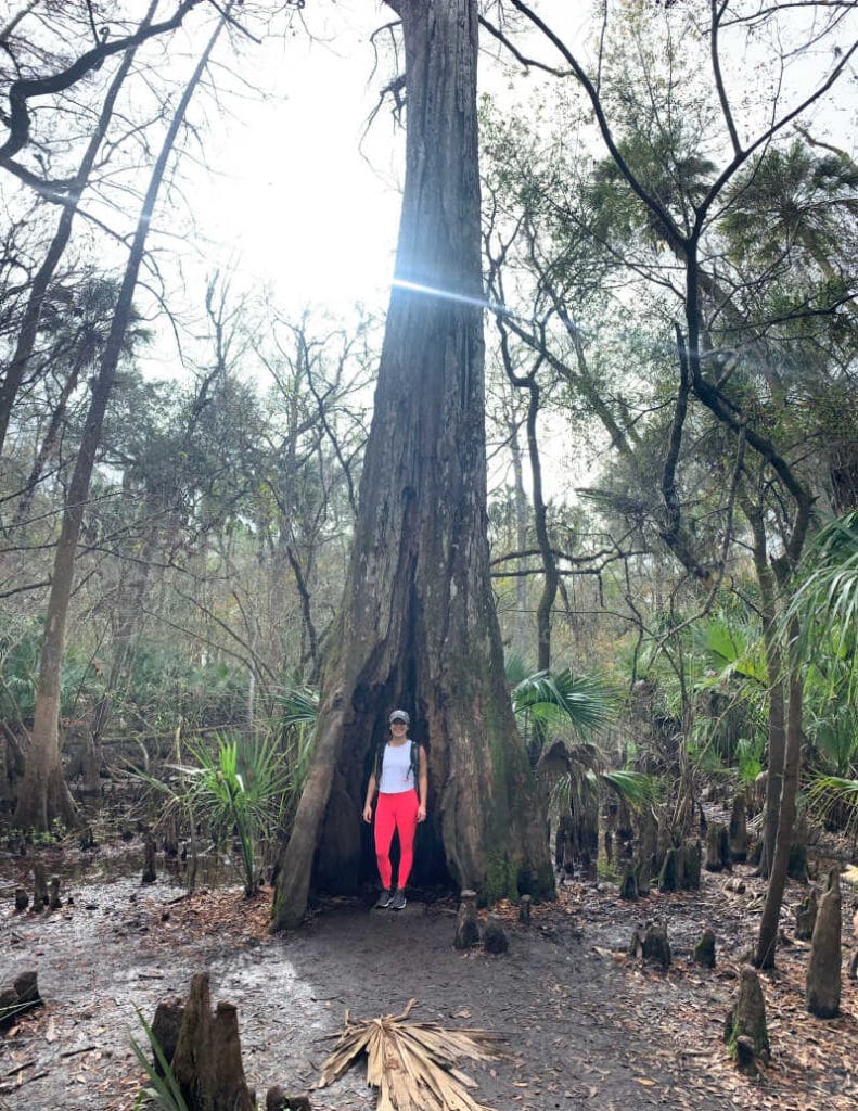 A picture of me next to a tall hollow tree.