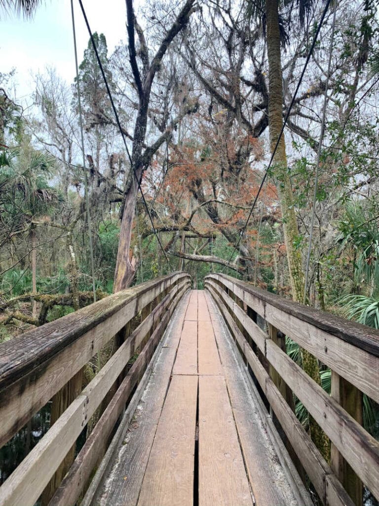 A picture of the suspension bridge at Hillsborough River a Florida State Park near Tampa