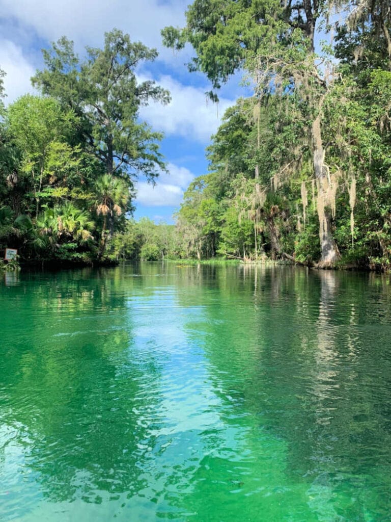 The green/blue water of Silver Springs.