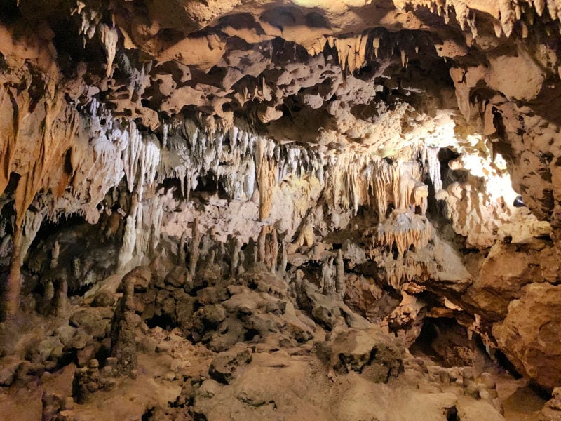 Stalactites and stalagmites inside the cave at Florida Caverns State park 
