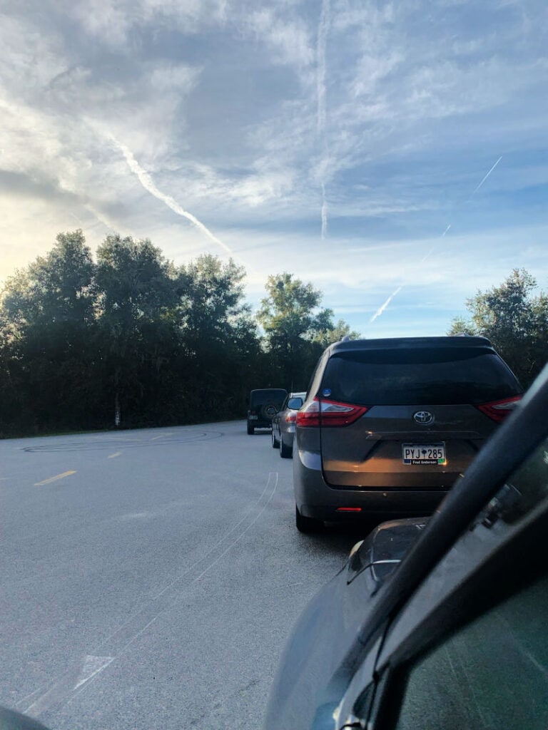 Line of 3 cars waiting to enter Blue Spring State Park before 8 AM
