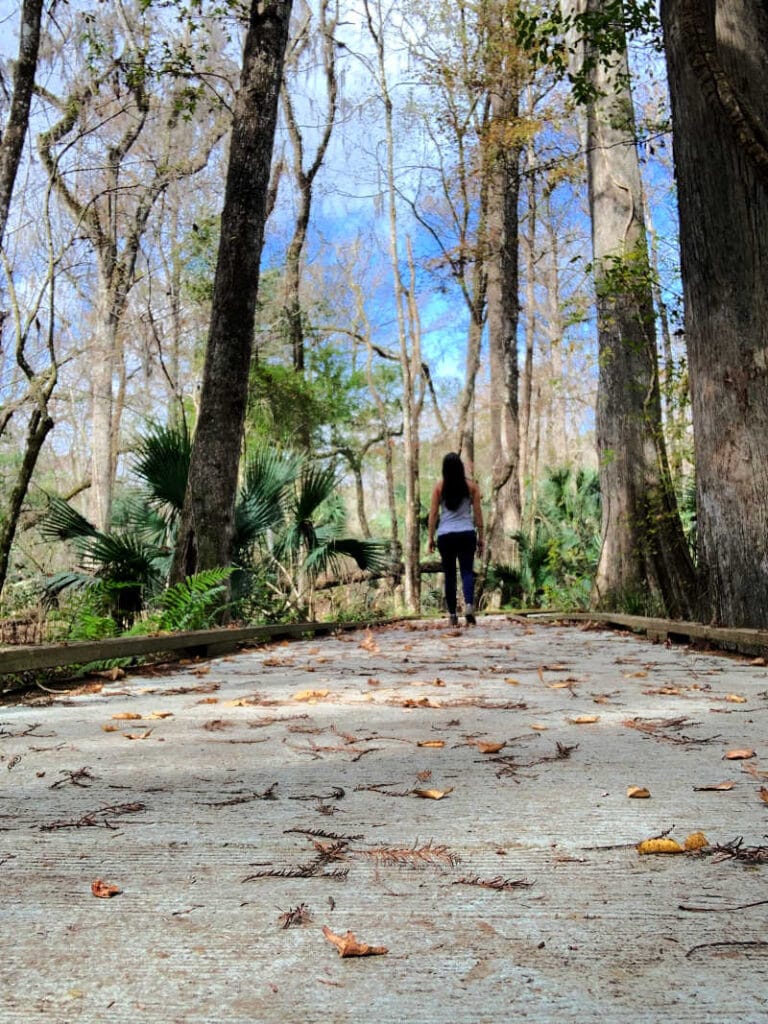 Me walking along the boardwalk at De Leon Springs State Park, a Florida State Park near Orlando 