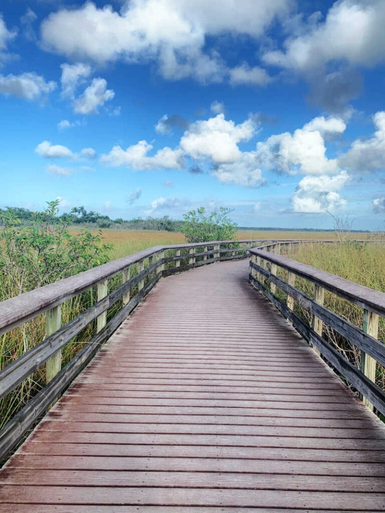 Boardwalk along the Anhinga Trail at Everglades National Park