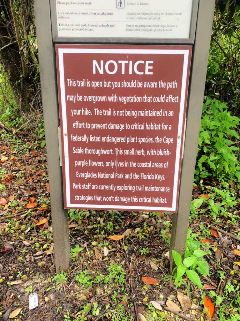 Warning sign at the trails near the Flamingo Visitor Center in Everglades National Park.