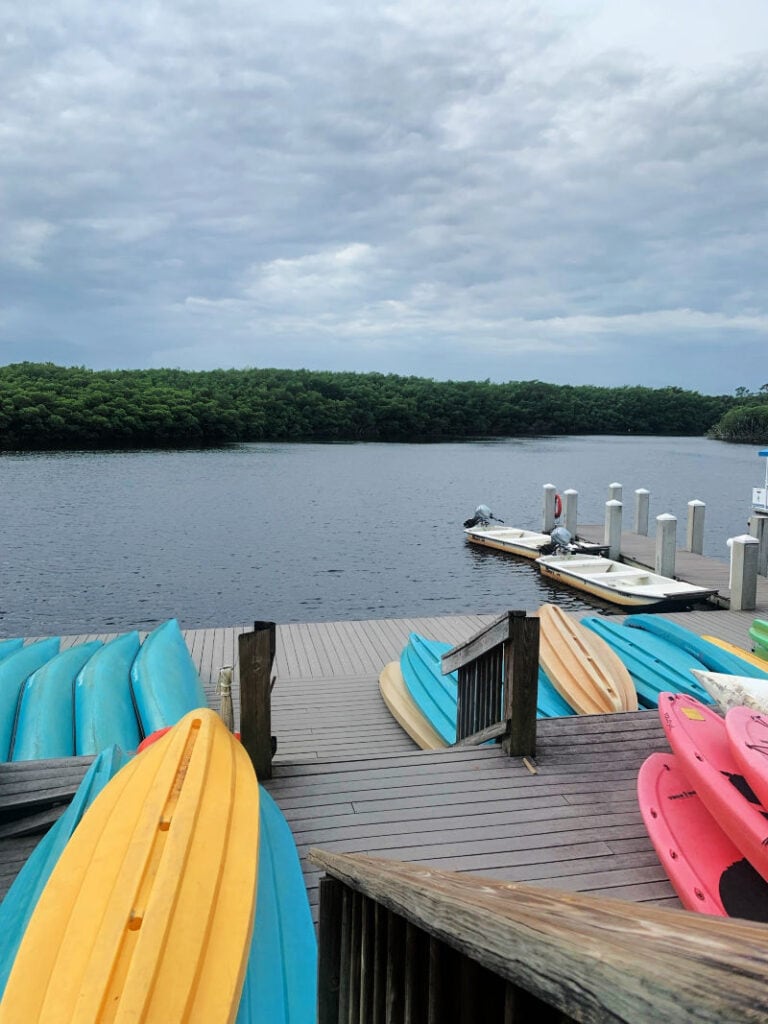 Blue, yellow, and pink kayaks on the dock next to the river