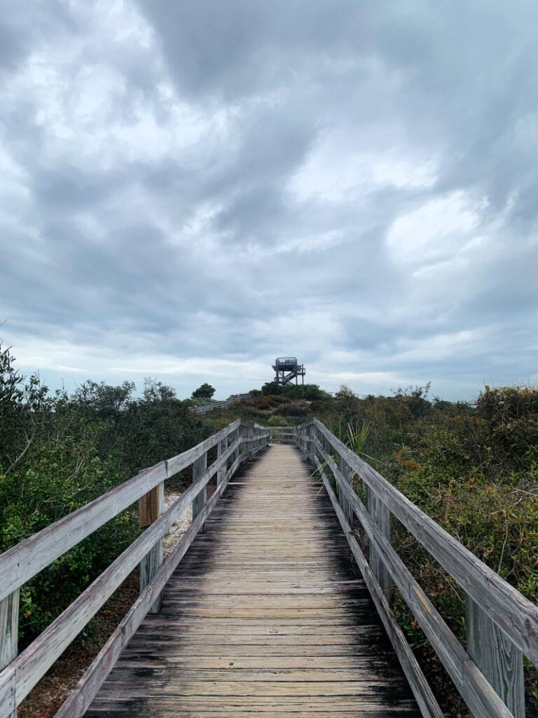 A view of the boardwalk trail with the observation tower in the distant background