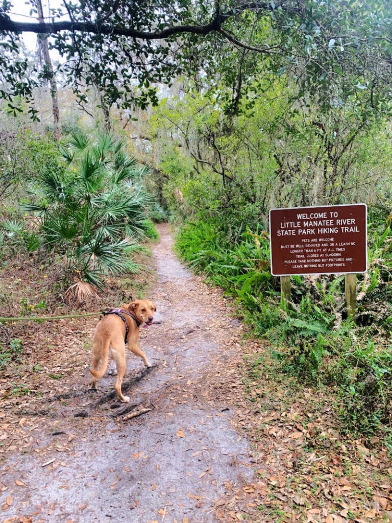 A welcome sign to the north hiking trail with my dog looking back at the camera smiling