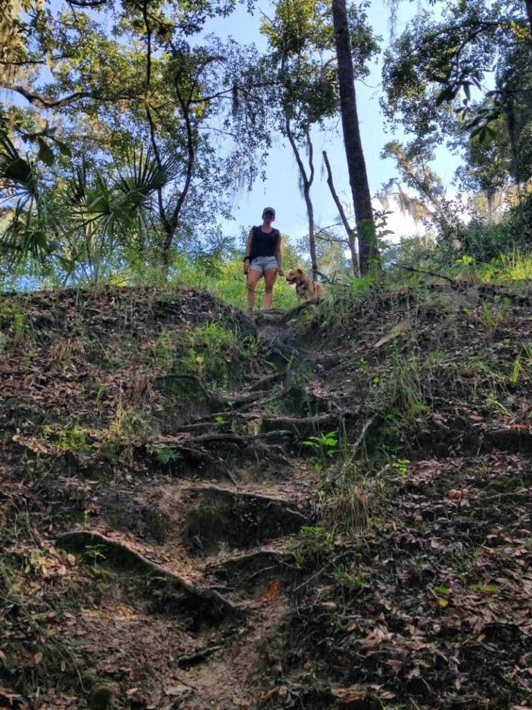 My dog and I at the top of a hill after we climbed a bunch of exposed roots