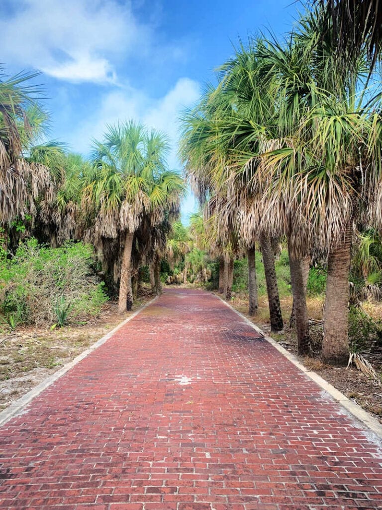 Brick road lined with palm trees at Egmont Key State Park.
