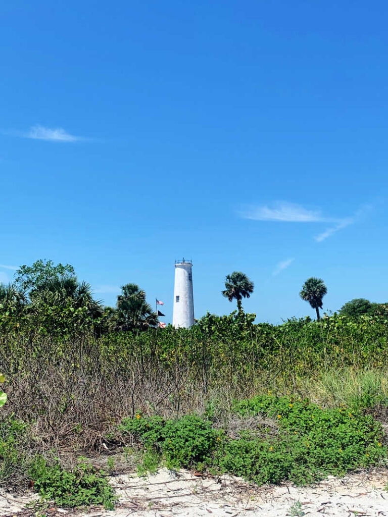 View of the Egmont Key lighthouse and surrounding trees and plants from the beach.