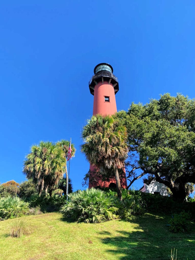 Jupiter Lighthouse surrounded by trees