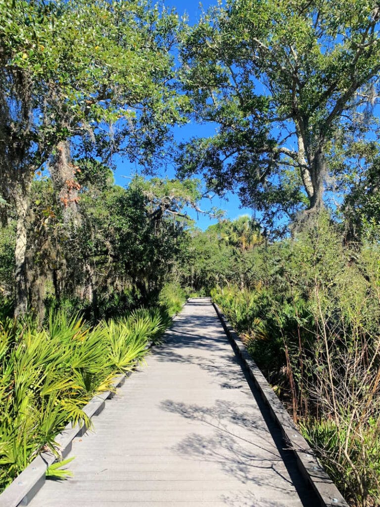 Boardwalk trail at Boca Ceiga Millenium Park