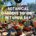 Cactus display at USF Botanical Garden in Tampa