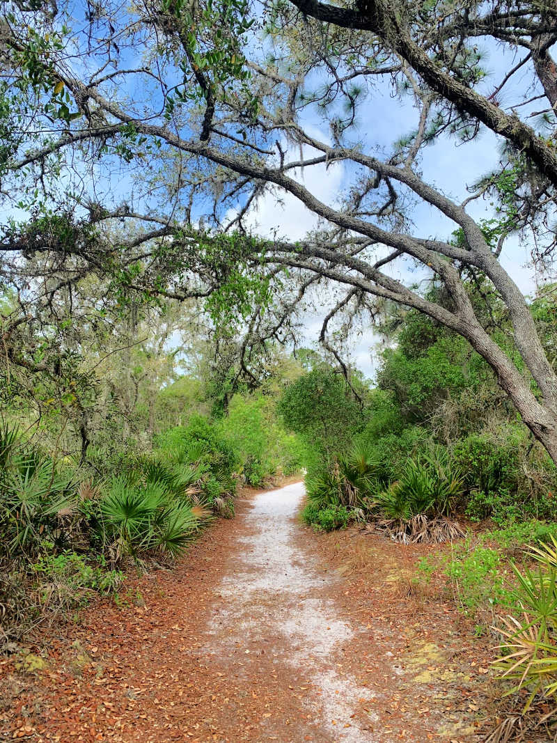 Three Pinellas County Nature Preserves to Visit