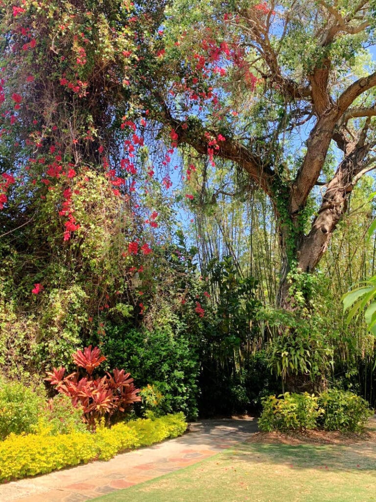 Trees and flowers at Sunken Gardens