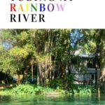 Green water and trees on Rainbow River