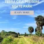 Grassy open trail at Terra Ceia Preserve State Park