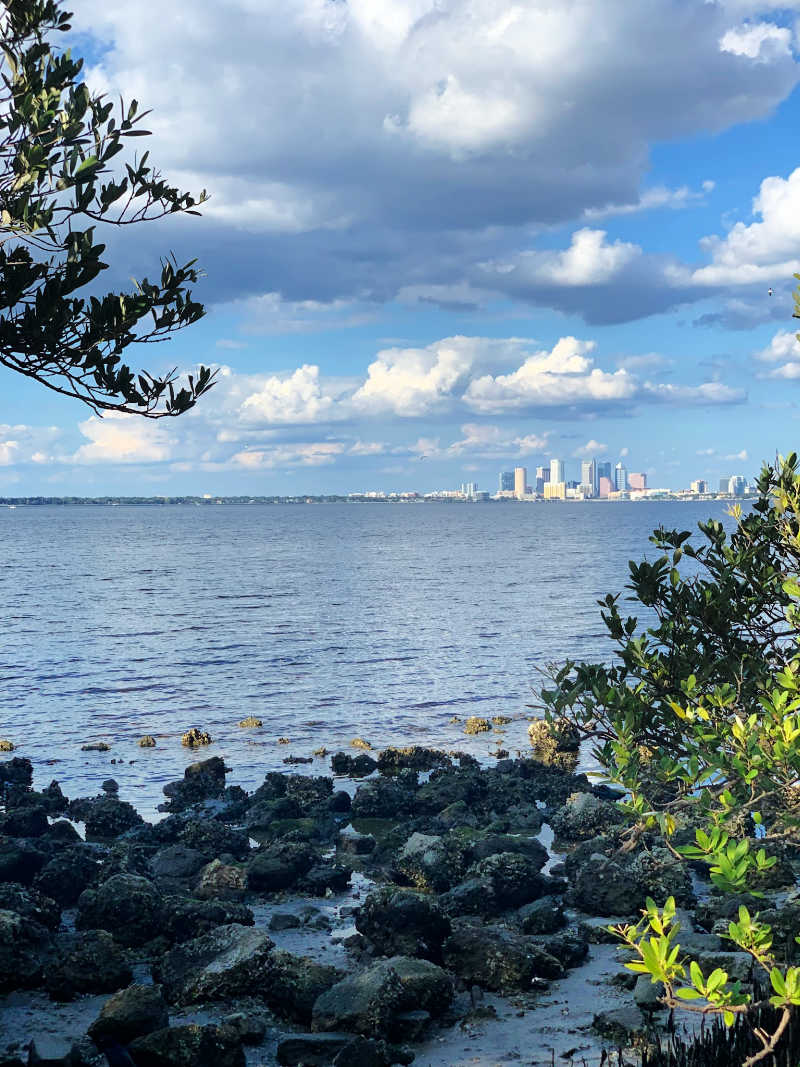 Seven Parks to Explore in Tampa, Florida