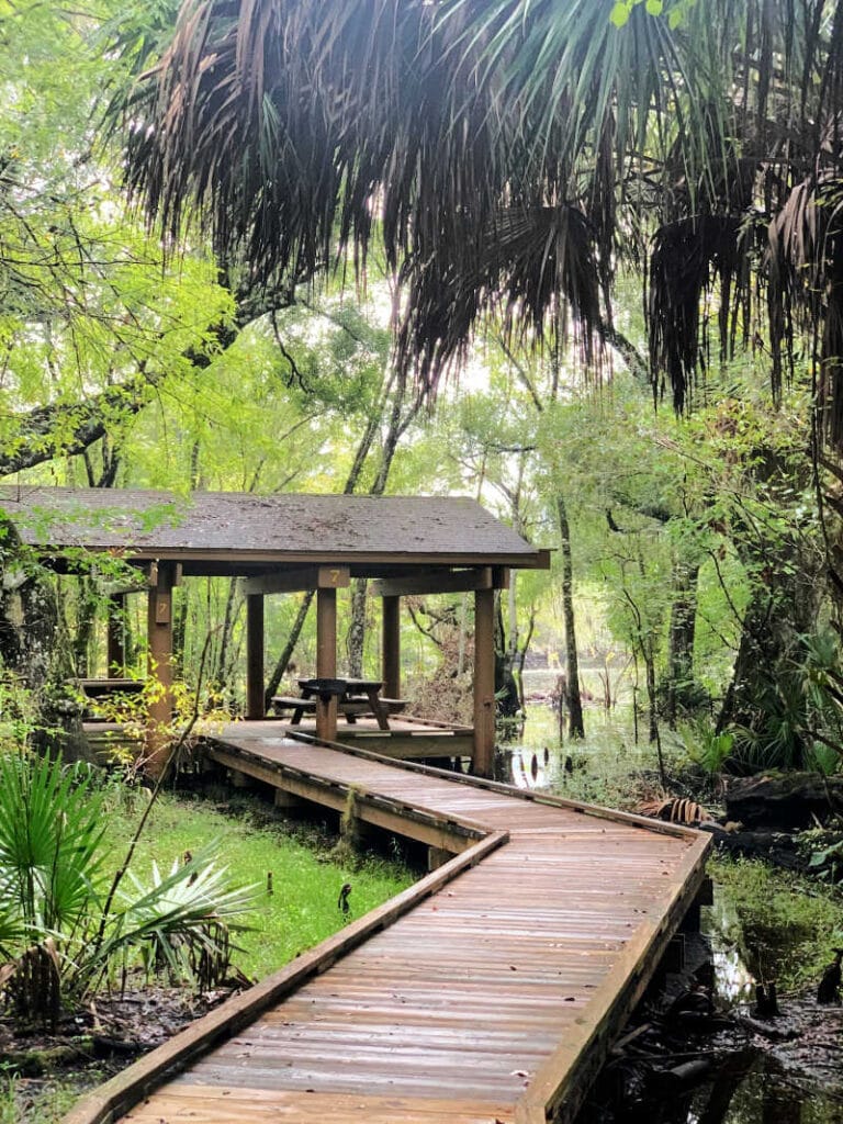A boardwalk leading to a picnic shelter at Lettuce Lake Park