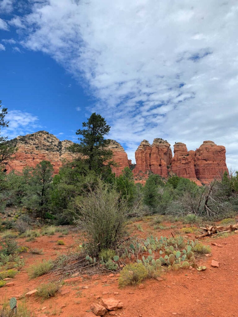 View of the red rocks in Sedona