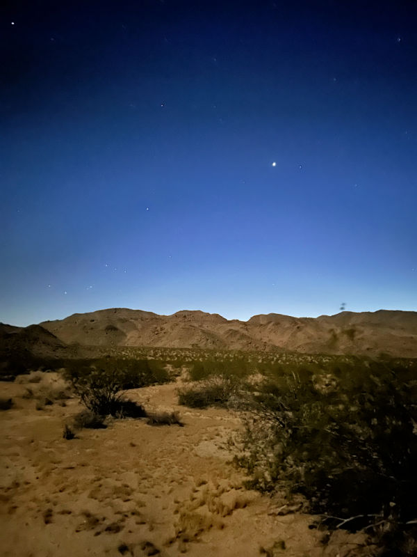 Joshua tree at night with dark blue sky and dessert landscape with mountains lining the photo
