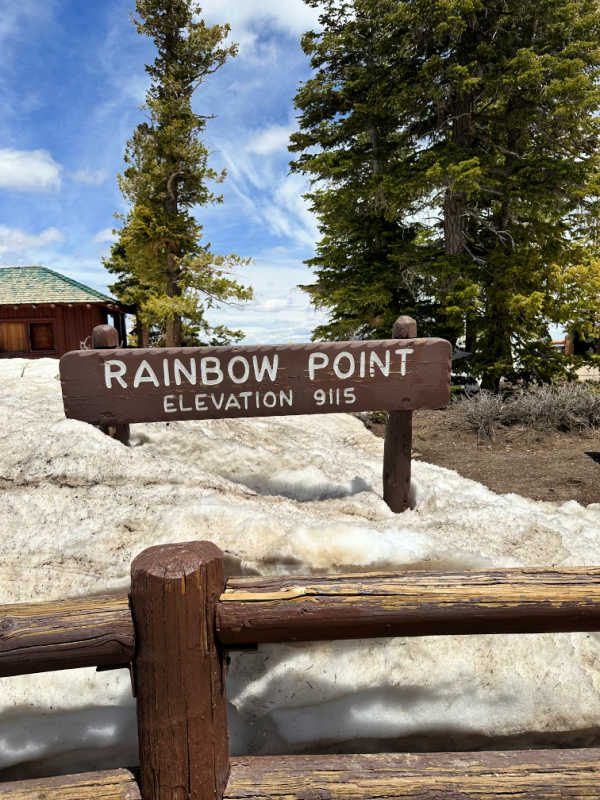 Rainbow Point elevation 9115 sign with snow surrounding it that has started melting.