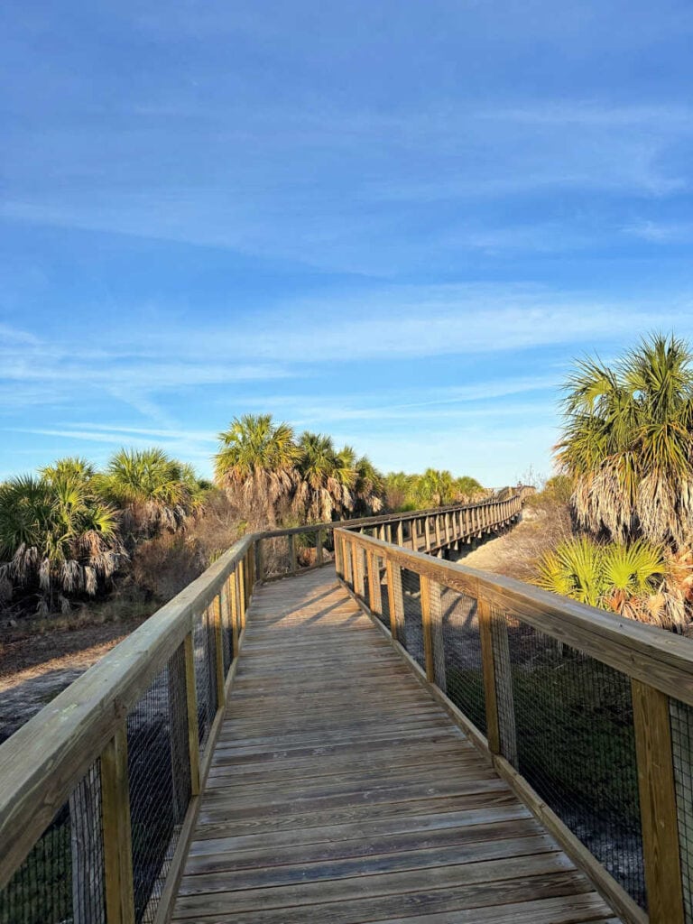 Boardwalk leading to the beach with palm trees in the distance and a blue sky.