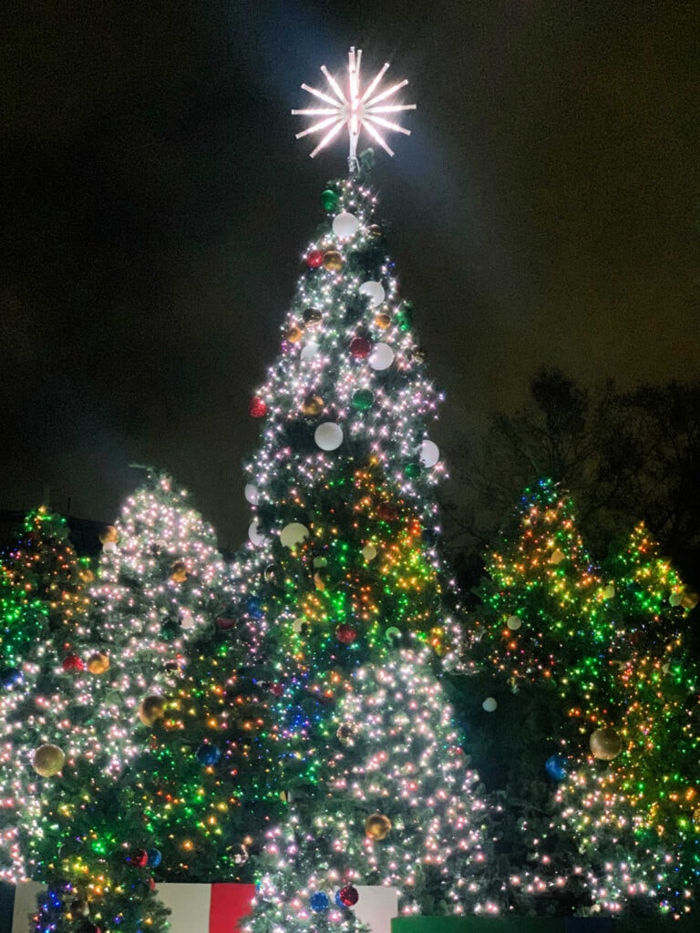 Several Christmas trees with colorful lights.