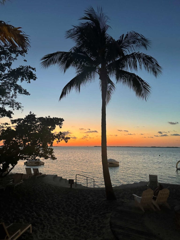 Blue, yellow, red sunset with palm trees over the ocean.